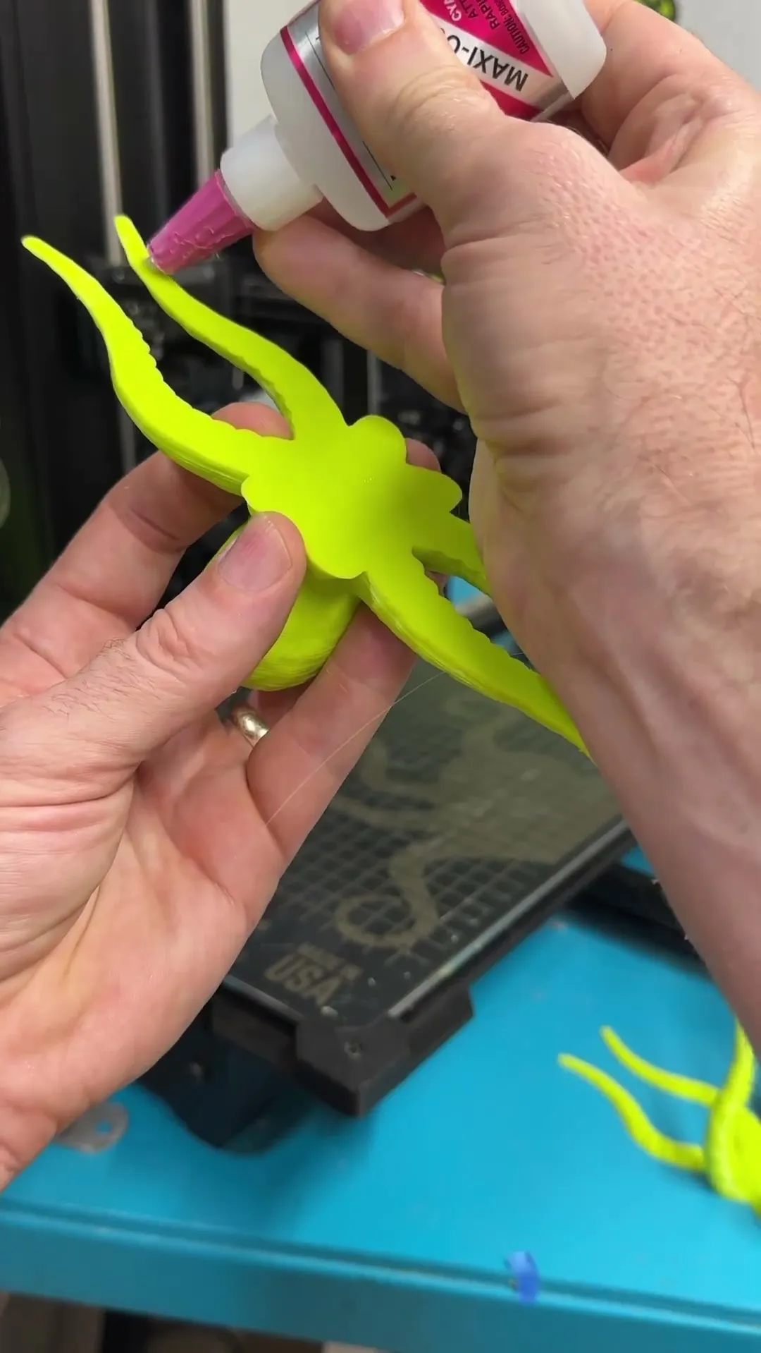 Posed Octopuses