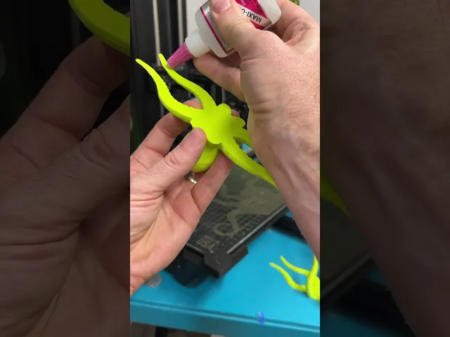 Posed Octopuses video thumbnail