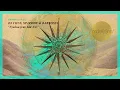 DJ Chus, Sparrow & Barbossa  - Nyakua feat. Idd Aziz