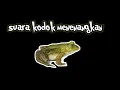 Lagu Suara Kodok Menenangkan