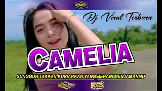 Download DJ CAMELIA yg Di Cari Cari, WJ AUDIO x GRAFIK POINT @trsmusic01 MP3