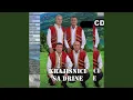 Download Lagu Zidar, tesar I armicar