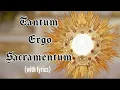 Download Lagu Tantum ergo Sacramentum lyrics/ Holy Hour Hymn/Eucharistic Adoration/ Chant Catholic
