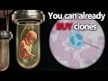 How hard is making a clone really