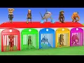 Download Lagu Long Slide Game With Elephant Gorilla Buffalo Hippopotamus Tiger 3d Animal Game Funny 3d Animals