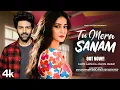 Lagu Tu Mera Sanam | Kartik Aaryan | Ananya Panday | New Hindi Song | Romantic Song | New Song 2025