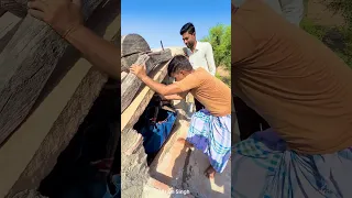 रेगिस्तान में पानी अमृत के जैसा है 😱 #water #rajasthan #village 