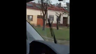 إعصار يخلف دمارا كبيرا في جمهورية التشيك 