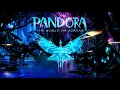 Download Lagu Pandora at Night | Bioluminescence | Sleep and Relaxation Ambience