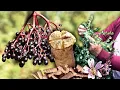 Download Lagu Home remedies with wild plants and roots: Syrups, deodorant, bad breath and much more