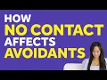 Will The Dismissive Avoidant Come Back After No Contact? | Dismissive Avoidant Relationship
