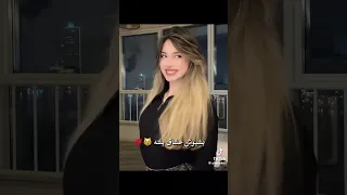 بشبوش عاشق بشه الشامي 