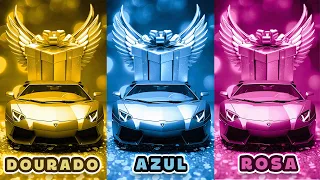 ESCOLHA SEU PRESENTE! 🎁 Dourado, Azul ou Rosa! ⭐ Você Tem Sorte? 🎮😱 Mais de 50 Escolhas!!!