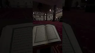 القارئ عمر سيلدينسكي 