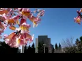 Spring has sprung on campus