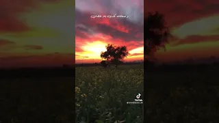 يعلو ولايعلى وجل علوه Ilahi 