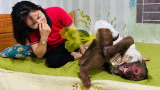 😱 Monkey Abu Had a Big Accident… Mom Had to Help Him! 