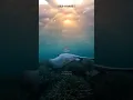 Download Lagu The most beautiful recitation of Quran surah An-nahl ayat 5 Bacaan merdu Alquran
