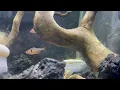 IMG 1966
