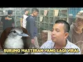Download Lagu VIRAL !!  BURUNG  MASTERAN PALING DI CARI 