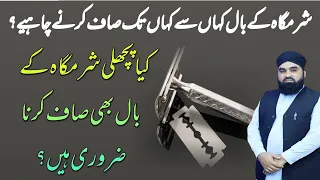 Where Should I Clean My Pubic Hair From And To Is It Necessary To Clean My Pubic Hair Too 