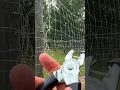 How Can This Tool Keep Deer Out
