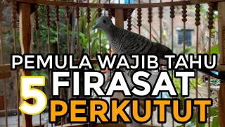 Download FIRASAT PERKUTUT YANG WAJIB DIKETAHUI PARA PEMULA MP3