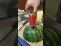 How to Slice a Watermelon into Sticks