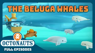 @Octonauts -  🐋 The Beluga Whales 🌊 | Season 1 | Full Episode | Cartoons for Kids