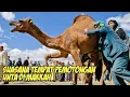 Download Lagu INI DIA !! TEMPAT PENYEMBELIHAN HEWAN QURBAN DI MAKKAH