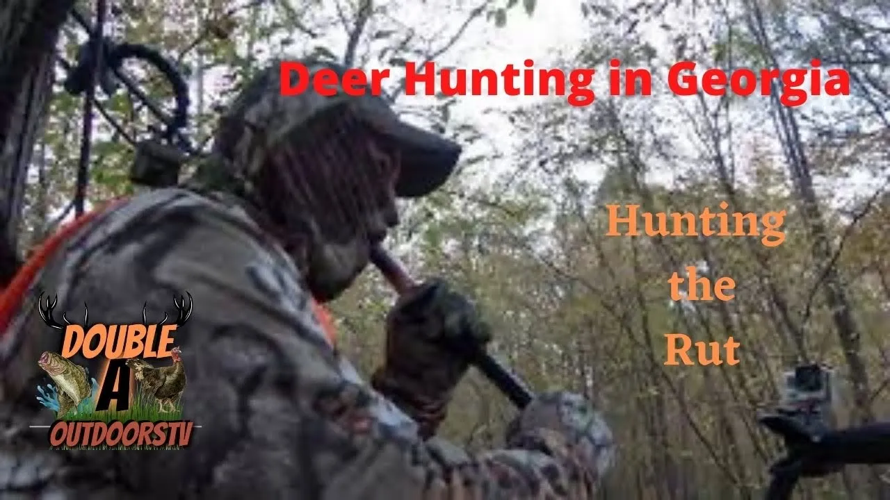 Hunting The Rut