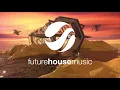 Don Diablo -  Survive VIP MIX (Extended Mix)
