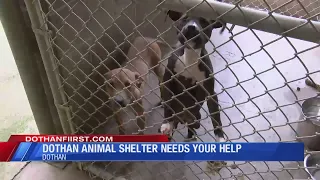 Dothan Animal Shelter