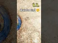 snack video is very interesting | snake video 🐍 | #snake #shorts #viral #reels #trendingviralvideo