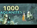 Loot From 1 000 Aquanites 78 Slayer