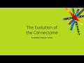 The Evolution of the Connectome