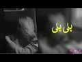 ارشيف عراقي || بلى بلى - محمد السالم//2014 (بطيء)