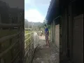 ORANG GILA TELANJANG