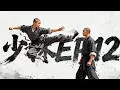 Lagu 【中國功夫】👊少林EP12｜少林險遭滅門，小和尚閉關十年，出關一棍震塌武林👊 #Donnie Yen #Jackie Chan #李小龍  丨Tai Chi丨功夫丨kung fu丨太极丨中國功夫劇