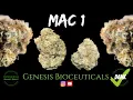 MAC 1 - MAC Caps Cut