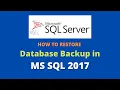 How to restore MS SQL database backup