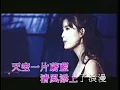 Vivian Chow 周慧敏 - 最愛 (High Quality)