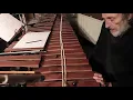 Download Lagu Some Sounds for Marimba explained by Matthias Kaul