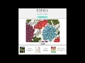 Discounts Roll Ends and Sales Events at Emma One Sock