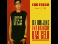 Ich bin jung und brauche das Geld (Video Version)