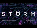 Bakermat, Toby Gad, Nicole Bus - Can't Bring (Official Audio) | Everlasting Grooves | Storm Music