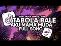 Download Lagu DJ TABOLA BALE X AKU MAMA MUDA FULL SONG SLOW VIRAL TIKTOK TERBARU 2025