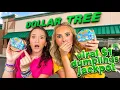 WE FOUND THE VIRAL DOLLAR TREE DUMPLINGS JACKPOT