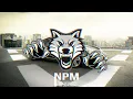 Tujamo & NØ SIGNE - Shake It