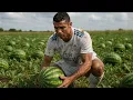Download Lagu This episode is Ronaldo's revenge on Messi in the style of a watermelon car.
